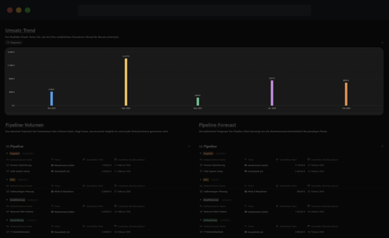 Strategisches Agentur-Controlling Dashboard – Echtzeit-Analyse von Projektmargen und Team-Auslastung