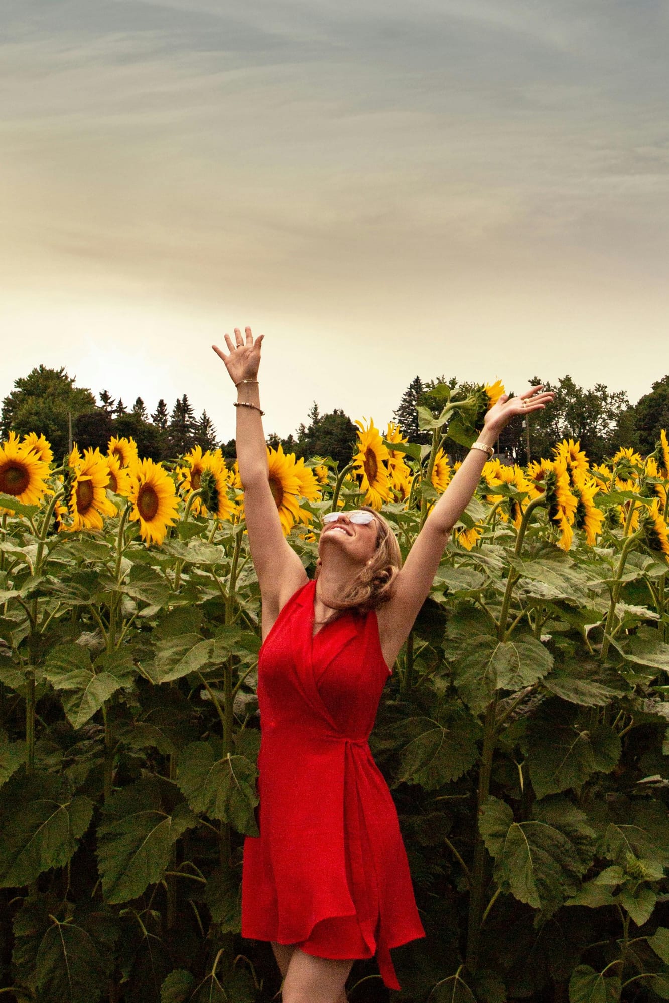 pexels-andre-furtado-43594-1748985 (1).jpg