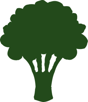 Broccoli_Broccoli.png