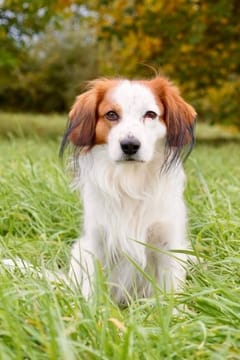 bc1b33bc-4e0c-45b0-b596-48d6329387a8 2.JPG