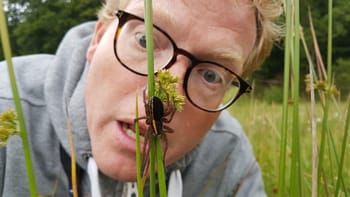 Bidt, Brændt, Stukket.jpg