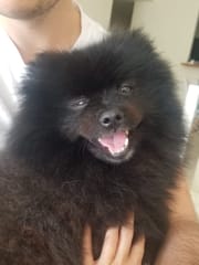 WhatsApp Image 2025-05-06 at 14.18.45.jpeg