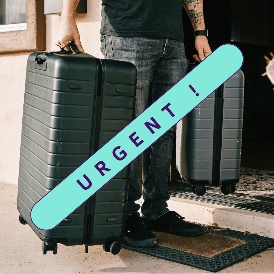 Urgent luggage delivery.png