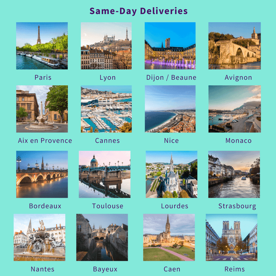 luggage delivery in France.png