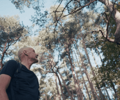 Le nid et l’oiseau - Bande annonce 2.png