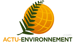 téléchargement (7).png