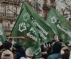 Le nid et l’oiseau - Bande annonce sur Vimeo.png