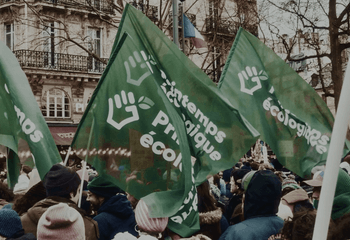 Le nid et l’oiseau - Bande annonce sur Vimeo.png