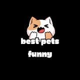 best pets funny.jpg