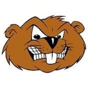 Angry Beaver.jpg