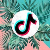 The Best Tiktok Collections.jpg