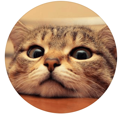 Screenshot 2024-01-08 at 3.06.15 PM.png