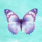 Aesthetics With Ashka.jpg