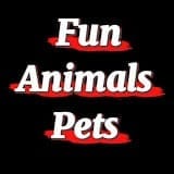 Fun Animals Pets.jpg