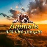 animals are like people.jpg