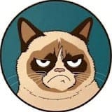 Animals Comedy Club.jpg