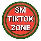Sm TikTok Zone.jpg