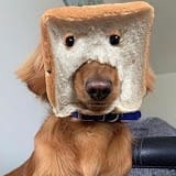 Heartfelt Romance.jpg