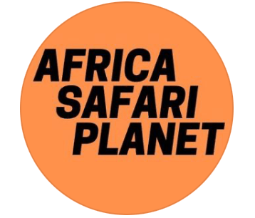 Screenshot 2023-12-28 at 12.56.09 PM.png