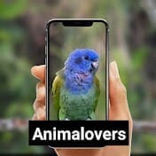 Maniac Animal - all about animals.jpg