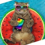 Funny Funny Cats.jpg