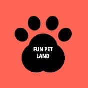Fun Pet Land.jpg