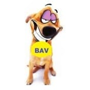 BAV.jpg