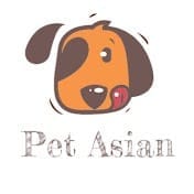 Pet Asian.jpeg