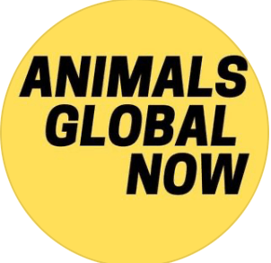 Screenshot 2023-12-28 at 12.56.56 PM.png