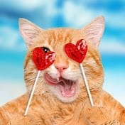 Funny Animal City.jpeg