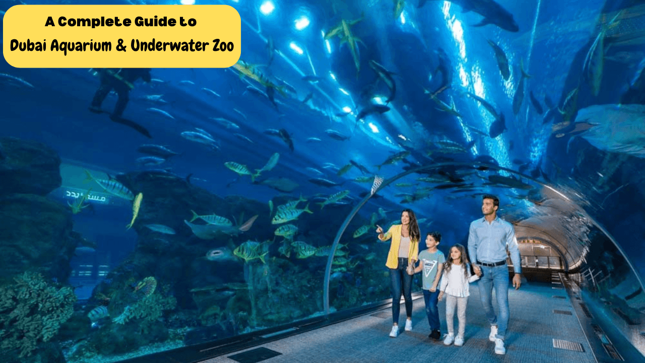 Dubai Aquarium & Underwater Zoo!.png
