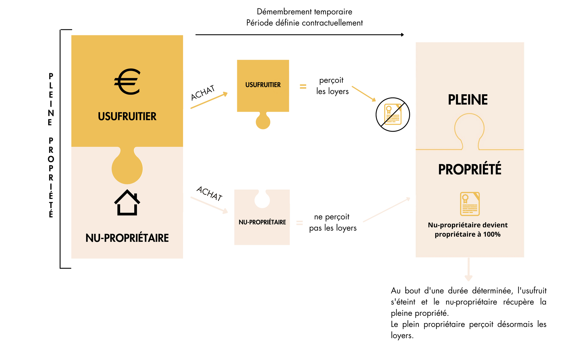 schema-demembrement.png