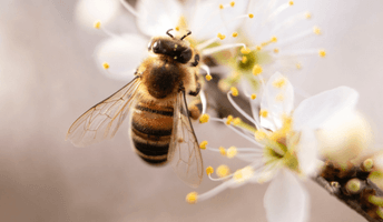 OneSeed Media Site Images (2).png