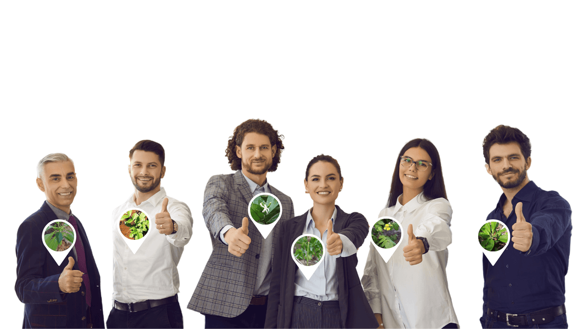 OneSeed Slide Backgrounds (72).png