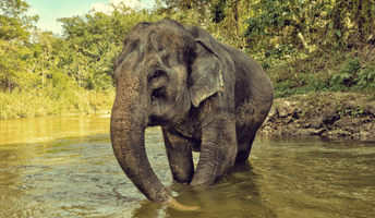 OneSeed Media Site Images (1).png