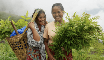 Nepal People OneSeed Page (1).png