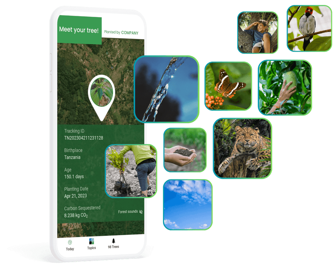 many benefits (3).png