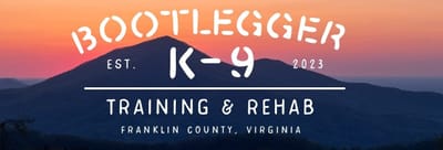 Bootlegger Working Logo - Banner.jpg