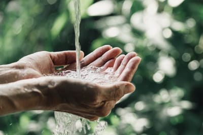 AdobeStock_272127668 (1) (1).jpeg