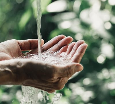 AdobeStock_272127668 (1) (1).jpeg