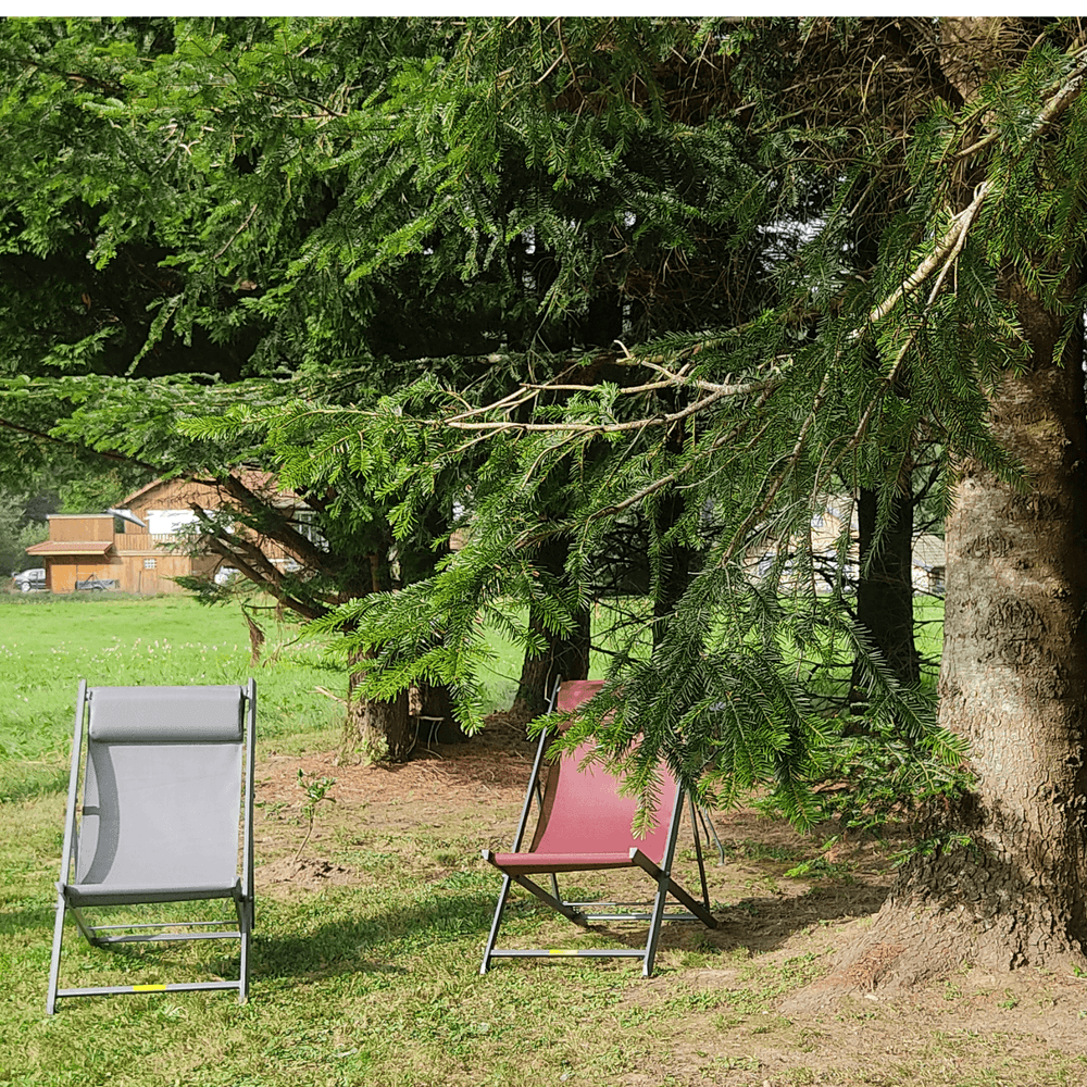 jardin et extérieur du gîte La Sapinière Ô Jules