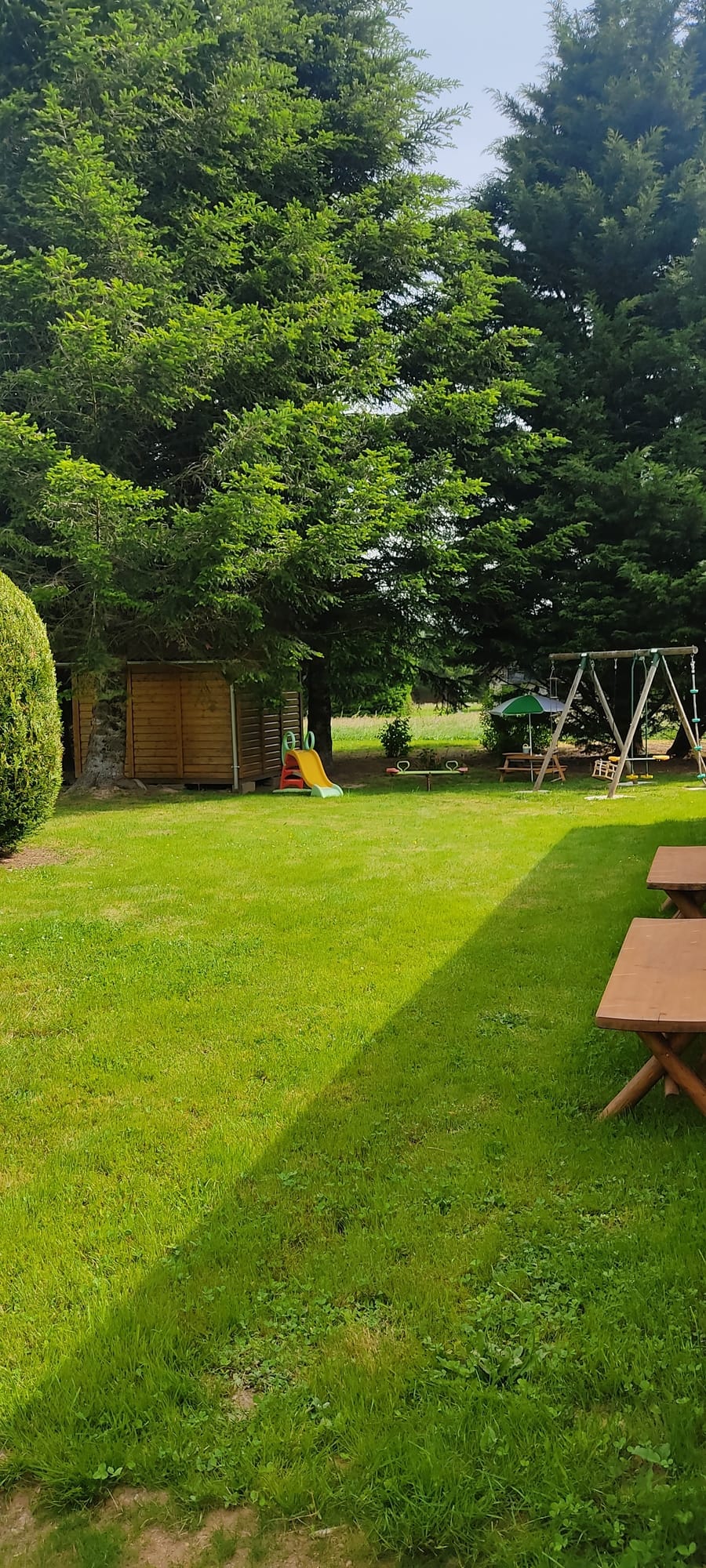 1748786038687 (1).jpg