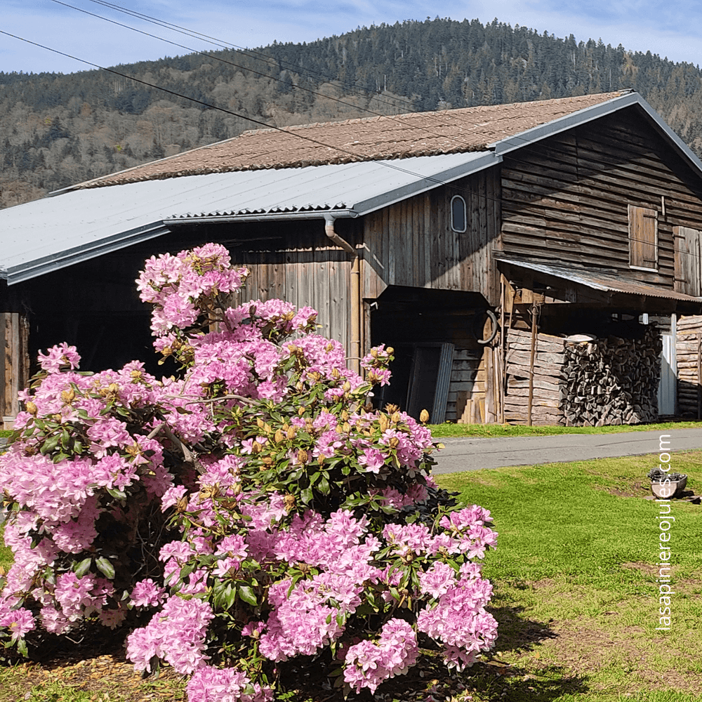 Carte de vœux carrée nouvel an géométrique colorée(3).png
