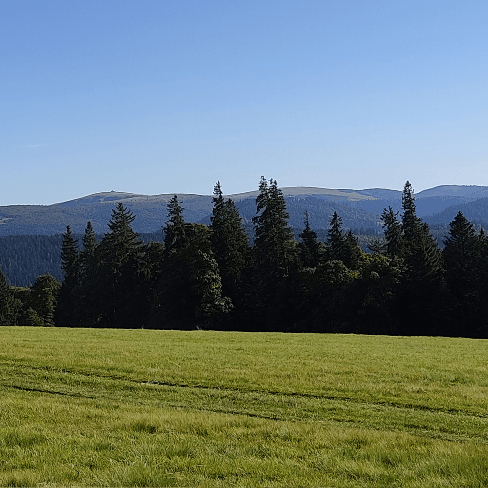 Carte de vœux carrée nouvel an géométrique colorée (84).png