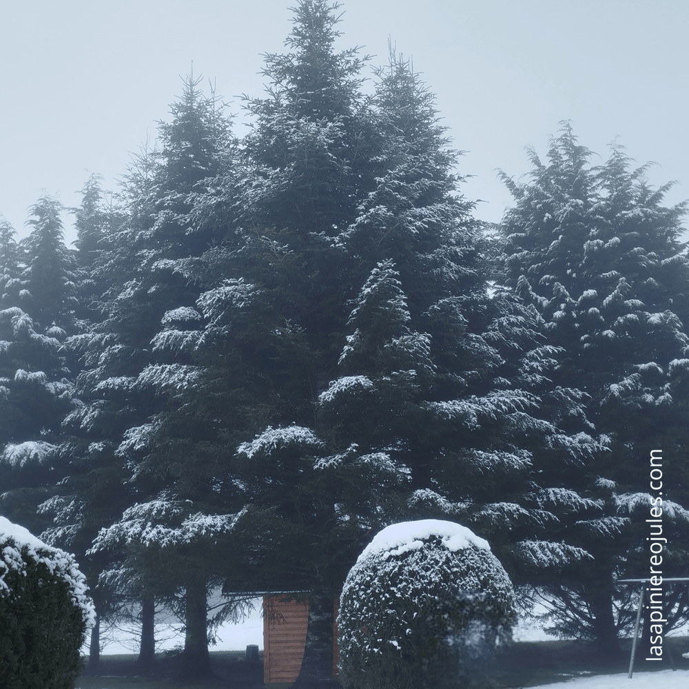 Carte de vœux carrée nouvel an géométrique colorée(4)-Photoroom.png