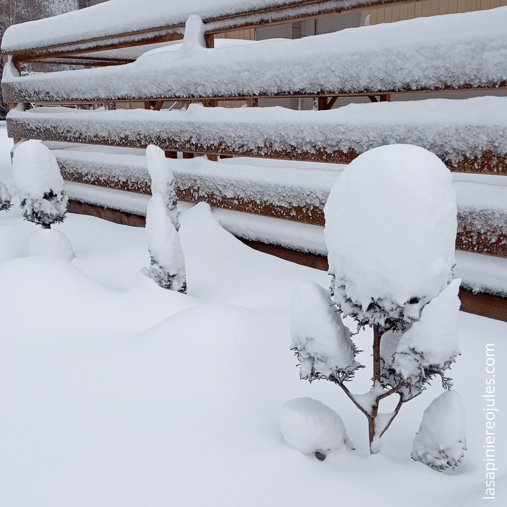 Carte de vœux carrée nouvel an géométrique colorée (53).png