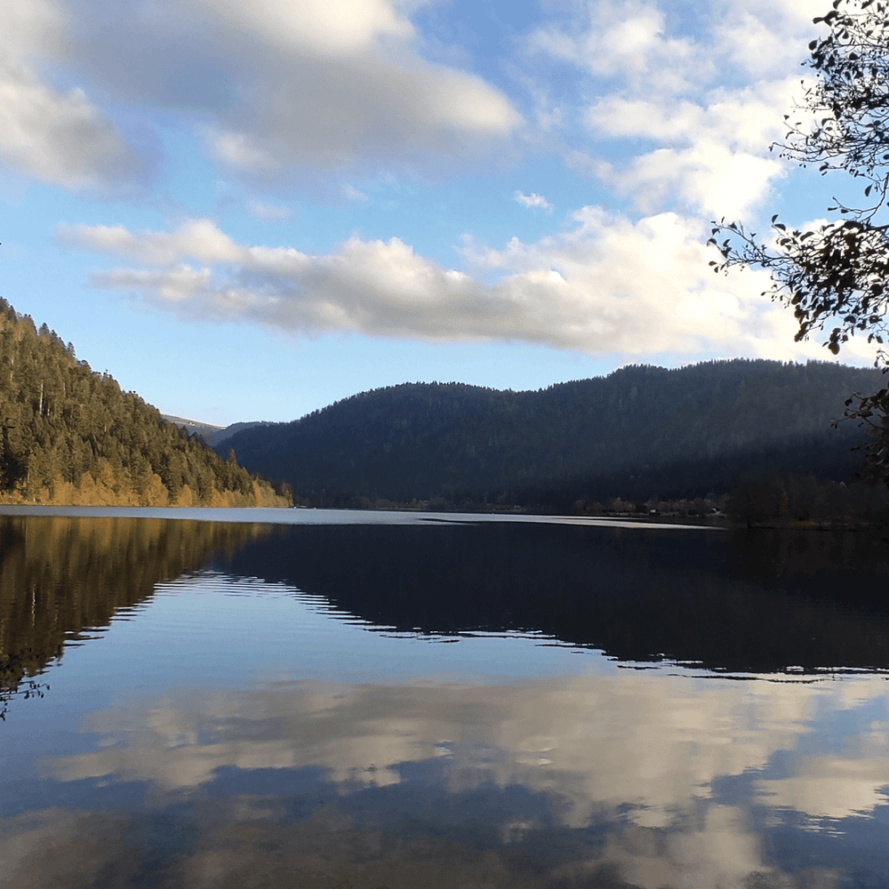 Carte de vœux carrée nouvel an géométrique colorée (80).png