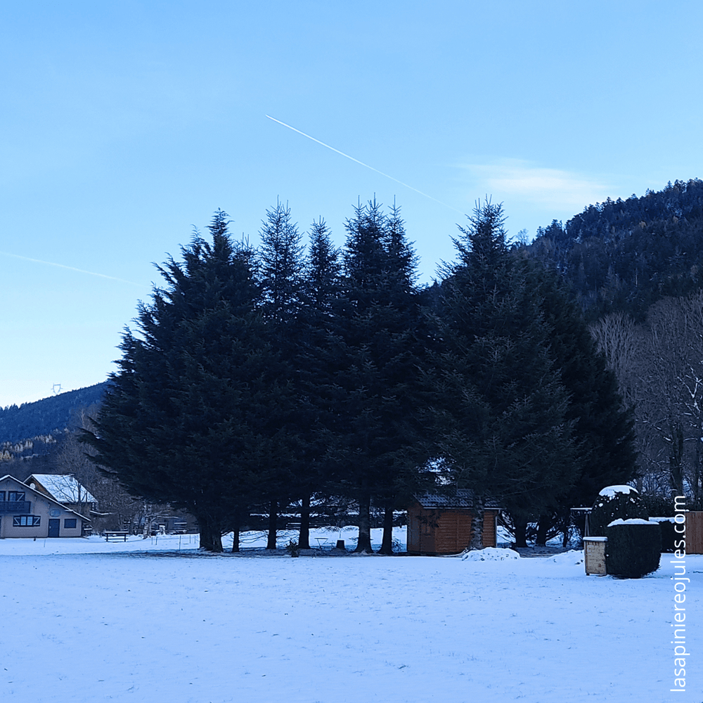 Carte de vœux carrée nouvel an géométrique colorée (35).png