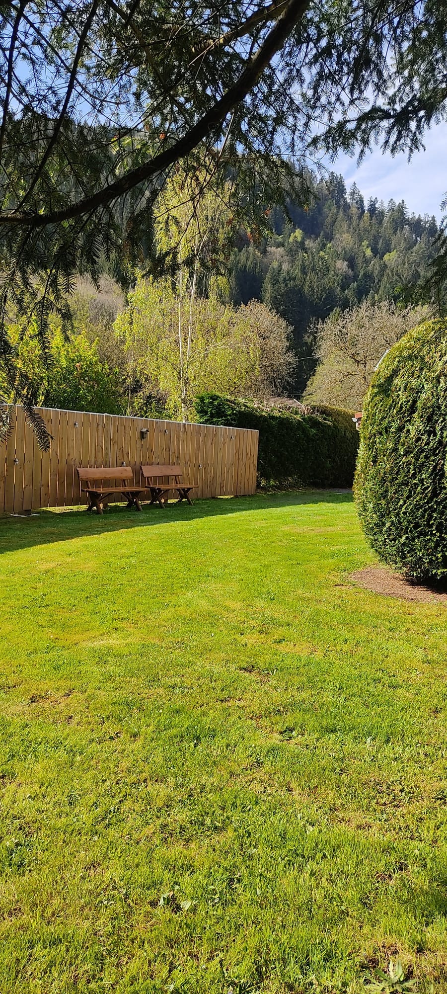 1748793101420 (1).jpg