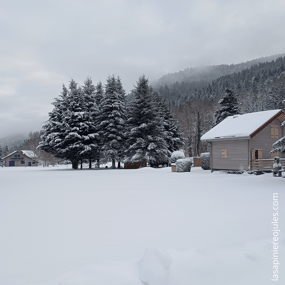 Carte de vœux carrée nouvel an géométrique colorée (55).png